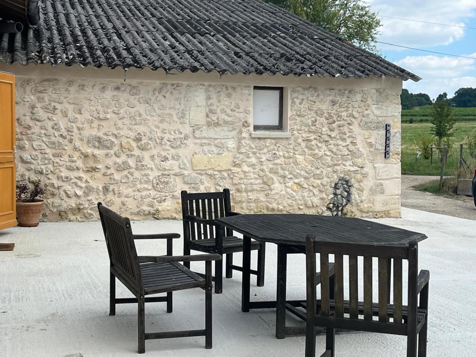Chateau Chatillon Saint-Sulpice-et-Cameyrac 外观 照片